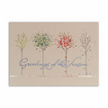 Abundant Beauty Greeting Card - White Unlined Fastick  Envelope